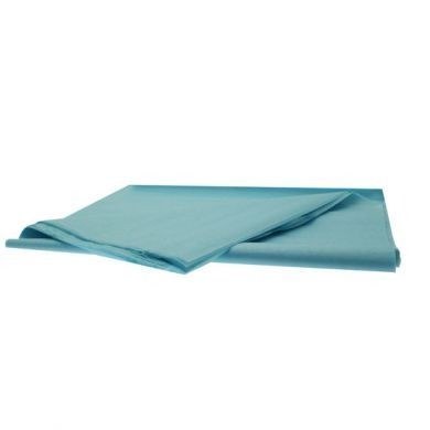 Picture of Florist Tissue Paper Light Blue 50cm x 75cm 240 Sheets